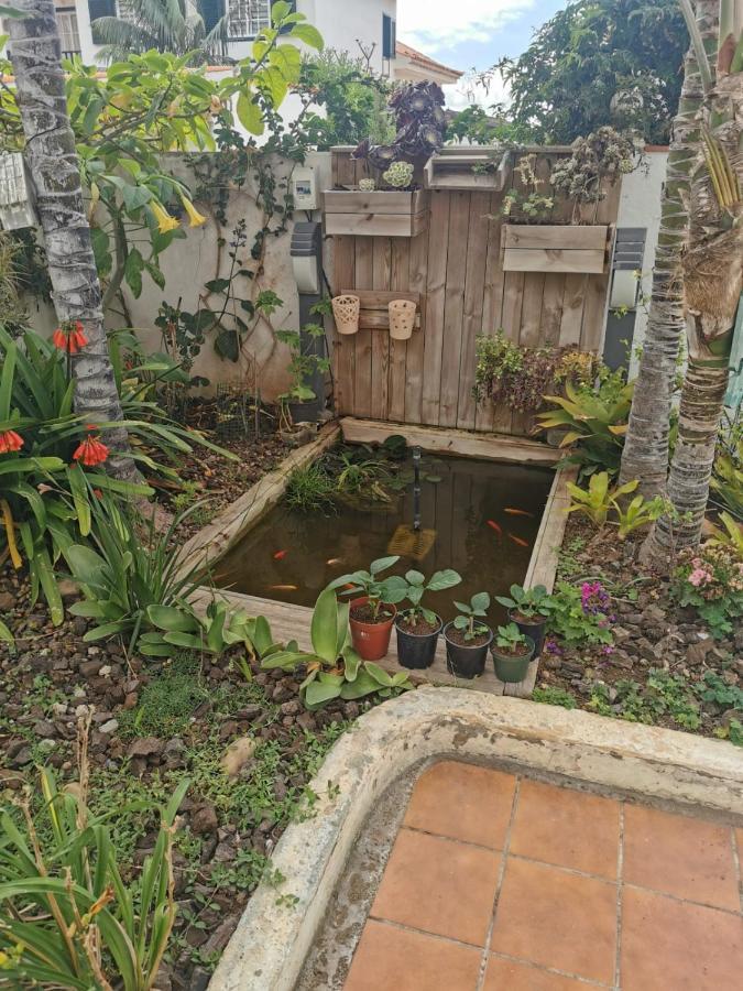 Jardin44 Apartment Santa Ursula  Luaran gambar